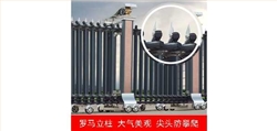 2011款歐雷克斯D-638電動伸縮門價格_尺寸